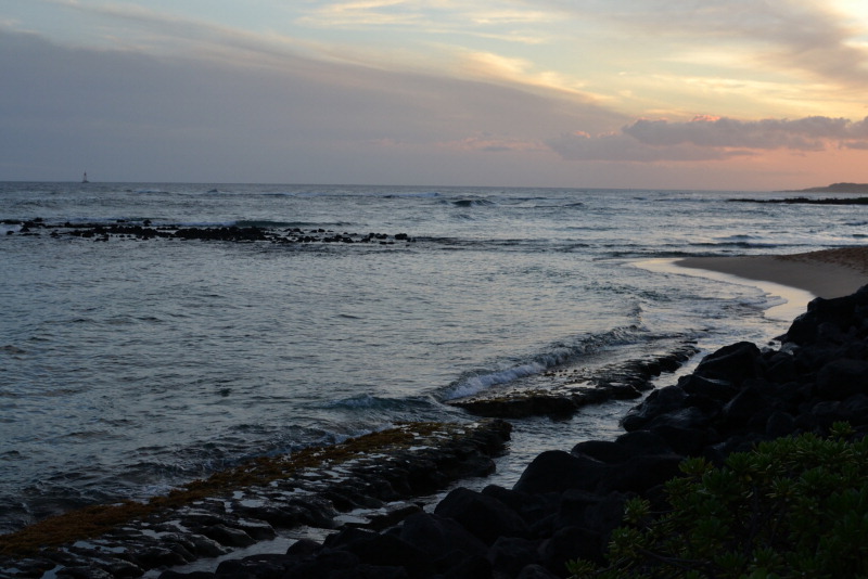 Honeymoon Wishes Photo Album