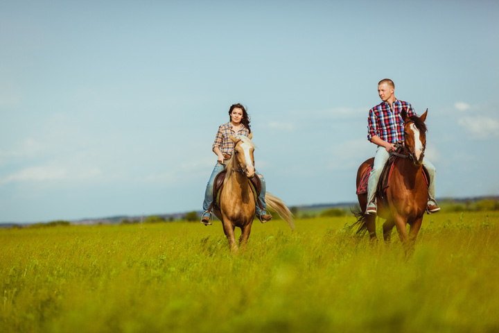 Horseback Trail Rides