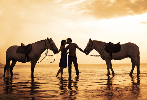 Tropical Horseback Riding