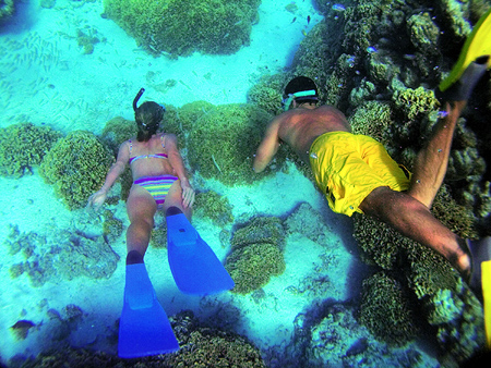 Taha'a - Coral Garden Drift Snorkeling