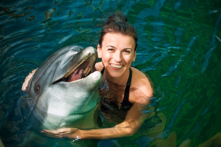 Dolphin Swim at Dolphin Cove