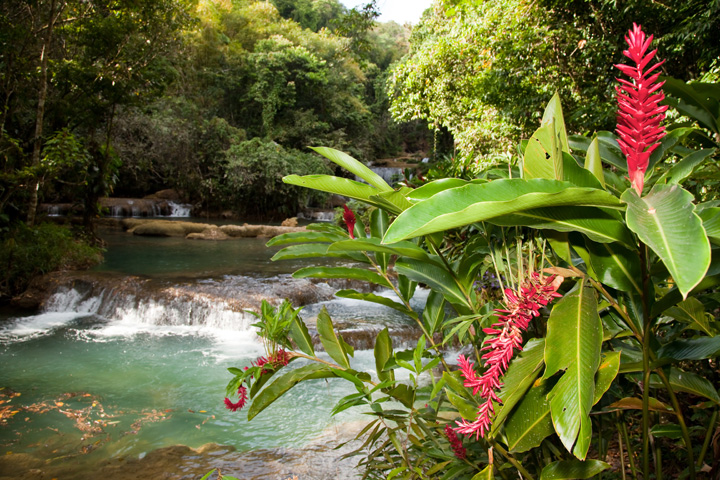 Ocho Rios Hi-Lite