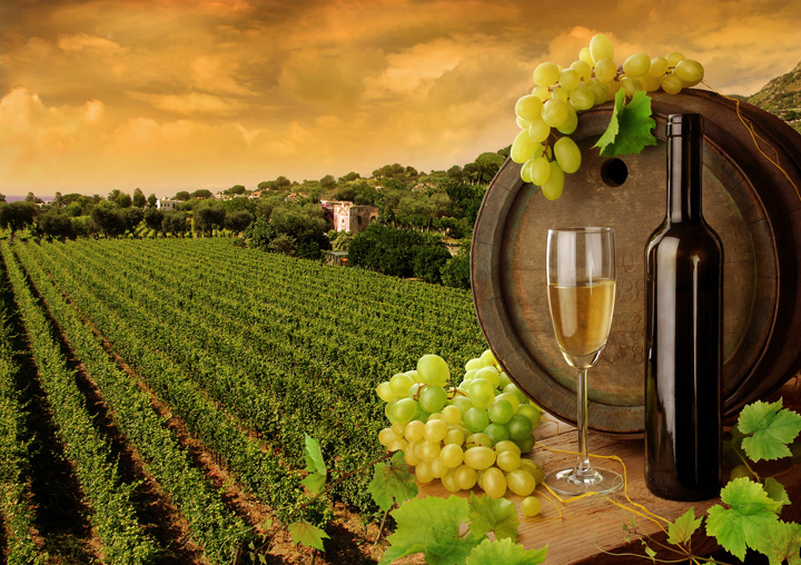 Beautiful Tuscany