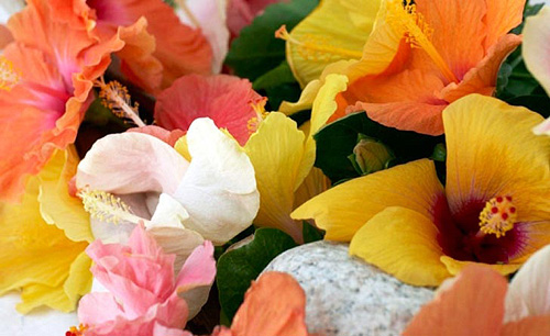 Fresh Flower Arrangement