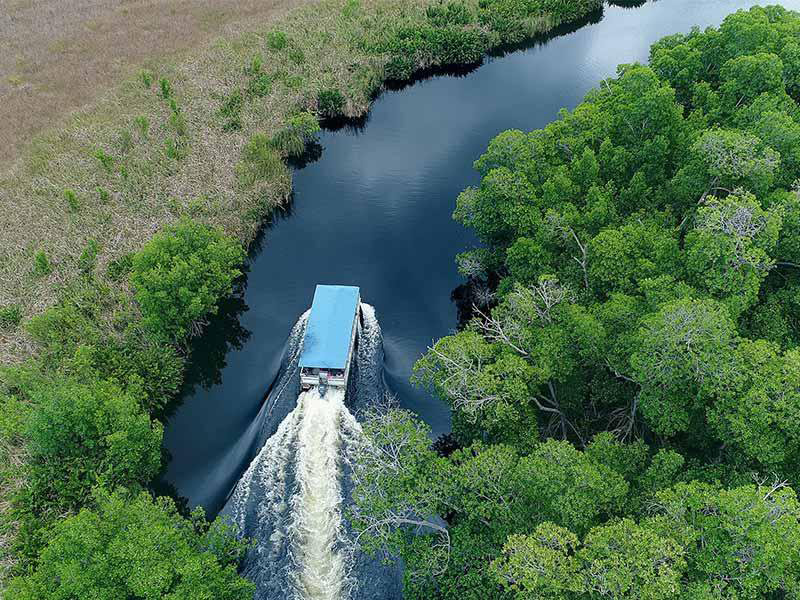 Black River Safari YS Falls and Appleton Rum