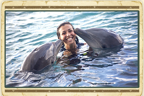 Dolphin Swim Ocho Rios