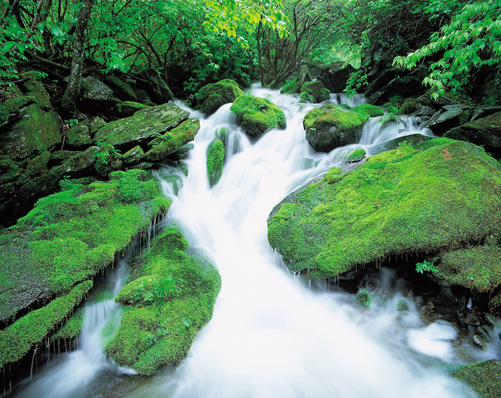 Couples Waterfall Hike