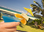 Drinks and Delights at Okianus Pool Bar