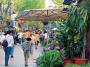 Sorrento Street Market